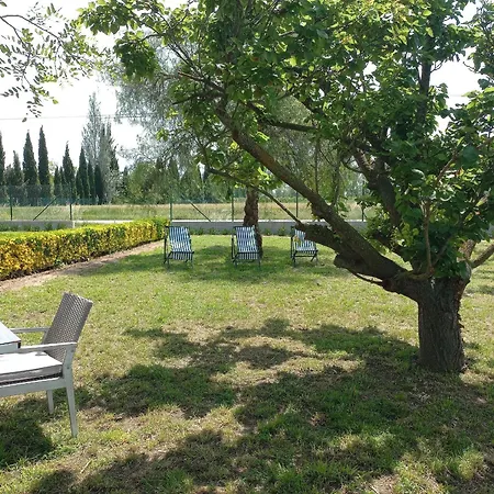 Casa De Vacaciones: A/a, Wifi, Barbacoa, Gran Jardin, Parking, Deporte - - Es-89-140 Sant Pere Pescador