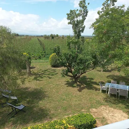 Casa De Vacaciones: A/a, Wifi, Barbacoa, Gran Jardin, Parking, Deporte - - Es-89-140 * Sant Pere Pescador
